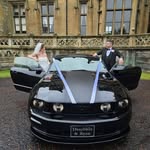 Ryan Gambling - @ryangambling - Instagram