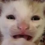 ryan - @ryanlovesgambling - Instagram