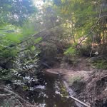 @ryan.ganahl - Instagram