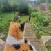 Ryan Gan - Facebook
