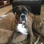 Ryan Garber - @ryguy1974 - Instagram