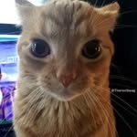 Ryan Garber - @ryangarber2724 - Instagram