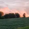 Ryan Gardner - @ryan.gardner984 - TikTok