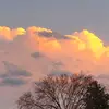 Ryan Garnier - @ryan.garnier1 - TikTok