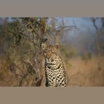 RyanGarry - @ryangarry4455 - Instagram