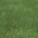 Ryan Gaspard - @ryan_g677 - Instagram