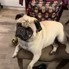 ryan.gaudet - @ryan.dab - TikTok