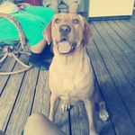 Ryan Gault - @gault.ryan - Instagram