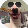 Ryan - @ryan.gault - TikTok