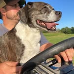 Ryan Gehman - @ryangehman - Instagram