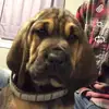 Ryan Getz - @ryan.g00 - TikTok