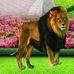 Qalbi Roon - Facebook