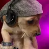 Ryan_gillettee - @ryan_gillettee - TikTok