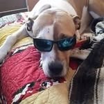 Ryan Gingerich - @r.g.6144 - Instagram