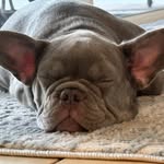 Ryan Ginter - @ryan.ginter - Instagram