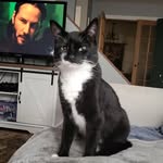 Ryan Glidden - @gliddenryan - Instagram
