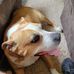 Ryan Goetz - Facebook