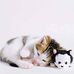 Ryan Goldenberg - Facebook