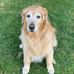 Ryan Goldenberg - Facebook