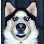 @ryan_goodchild - Instagram