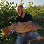 Ryan Goodchild - @ryan.goodchild.5811 - Instagram