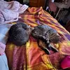 Ryan Goodrow - @ryan.goodrow - TikTok
