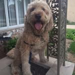 Ryan Gory - @rpgmbg - Instagram