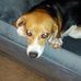 Ryan Gosnell - Facebook