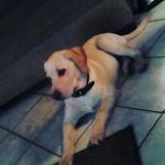 ryan granger - @moekel2014 - Instagram