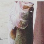 Ryan Granger - @ryan.granger.31337 - Instagram