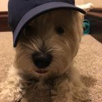 Ryan Grauer - @ryangrauer - Instagram