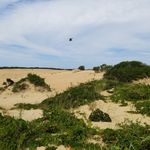Ryan Grauer - @killercudah - Instagram