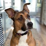 Ryan Greco - @turtlekahn - Instagram
