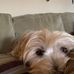 Ryan Greco - Facebook