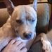 Ryan Greco - Facebook