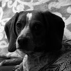 Ryan Greenleaf - Facebook