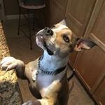 Ryan Greenspan - @r.gr33n - Instagram