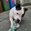 Ryan Gregory - @ryangregory1690 - TikTok