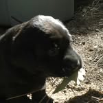 Ryan grindle - @grindleryan17 - Instagram