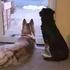 Ryan gunnells - @ryan.gunnells0 - TikTok