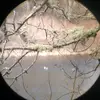 Ryan Gurney - @ryan.gurney2 - TikTok