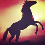 Ryan Gurney - @knight_rider_290 - Instagram