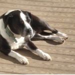 William Ryan Gurney - @technogram65 - Instagram