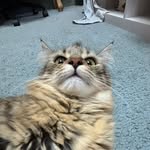 Ryan Guthrie - @ryan.guthrie7 - Instagram