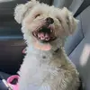 Ryan Michael Haber - @waves0890 - TikTok