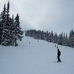 Ryan Hadaway - @ryan.hadaway.73 - Instagram