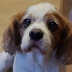 ryan hadley - @ryanhadley33 - Instagram