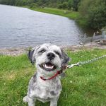 Ryan Hain - @ryan_hain13 - Instagram