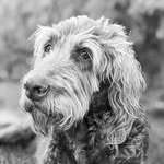 Ryan Haley - @_ryanhaley_ - Instagram