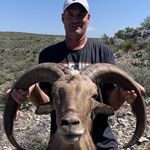 Ryan Haley - @ryanhaley34 - Instagram